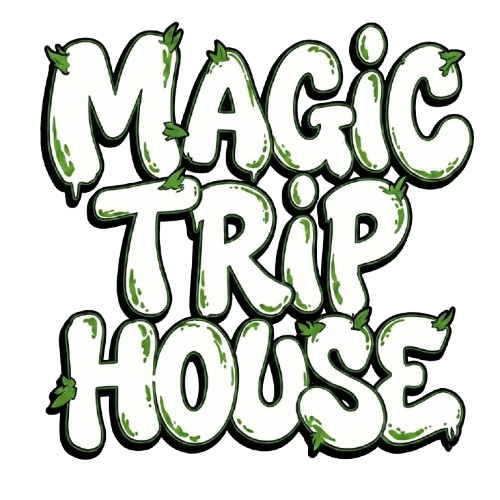 Magic Trip House